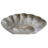 017 0247 Shell